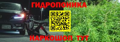 mdpv Лесосибирск