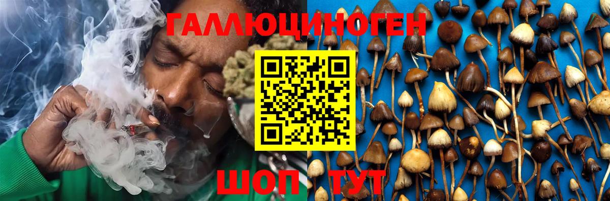 Псилоцибиновые грибы Psilocybe  Вход с VPN  Зеленодольск 